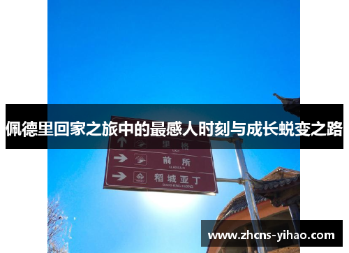 佩德里回家之旅中的最感人时刻与成长蜕变之路