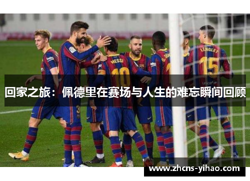 回家之旅：佩德里在赛场与人生的难忘瞬间回顾